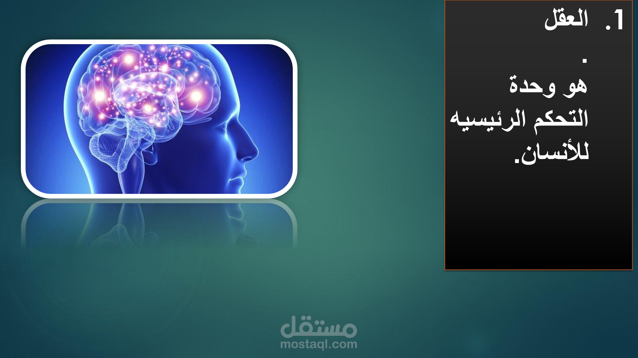 مقالة تجربية عن ما لا نعرفه عن أجسادنا بصيغه باور بوينت
