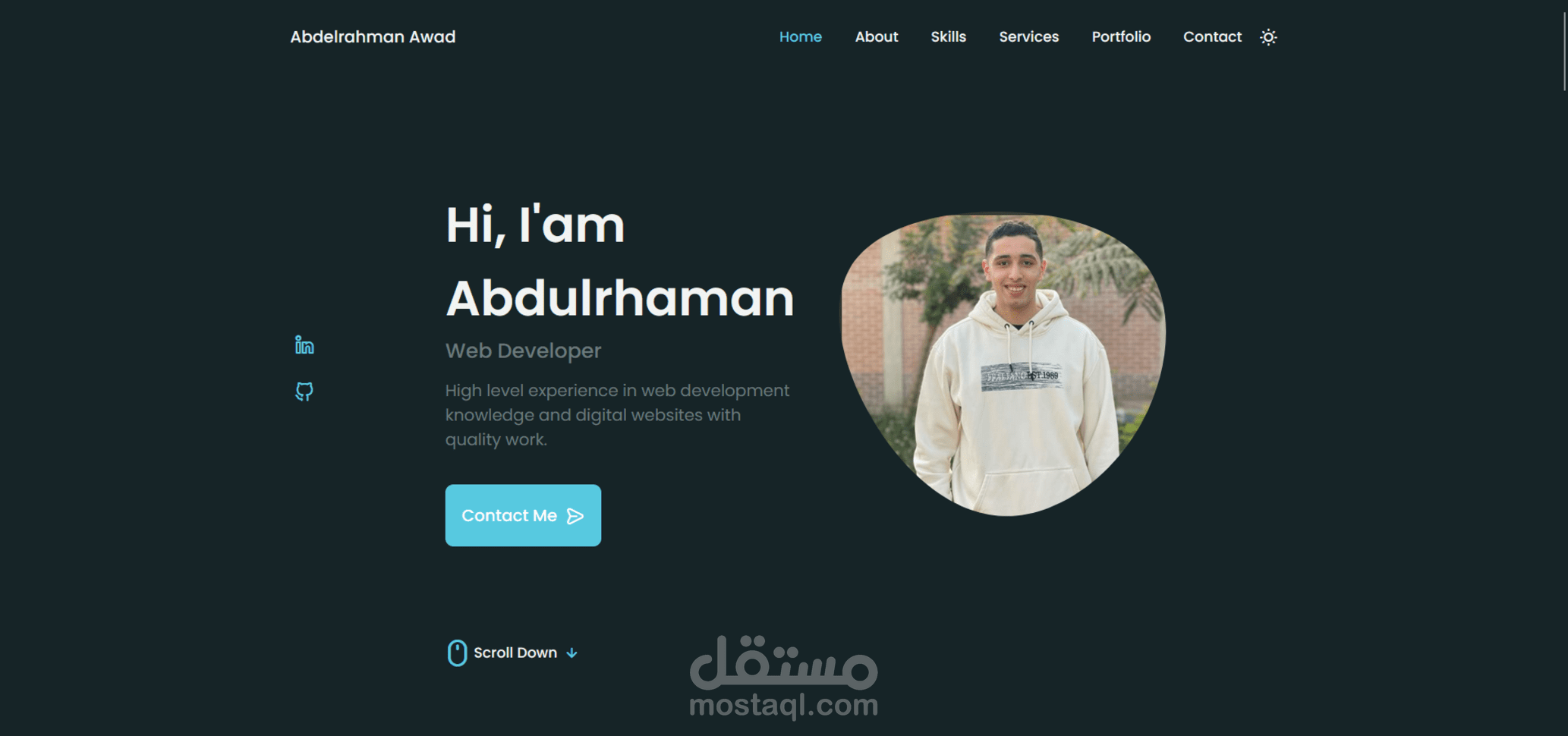 بروتوفوليو احترافي Professional Portfolio