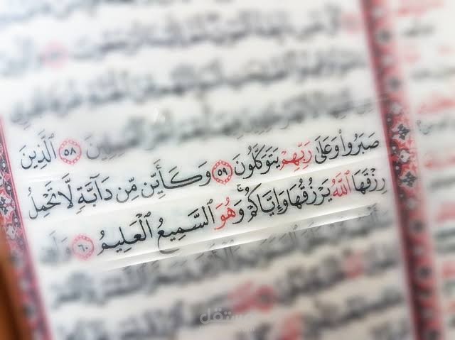قرآن كريم