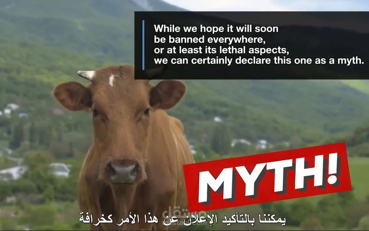 Subtitling a video from English into Arabic