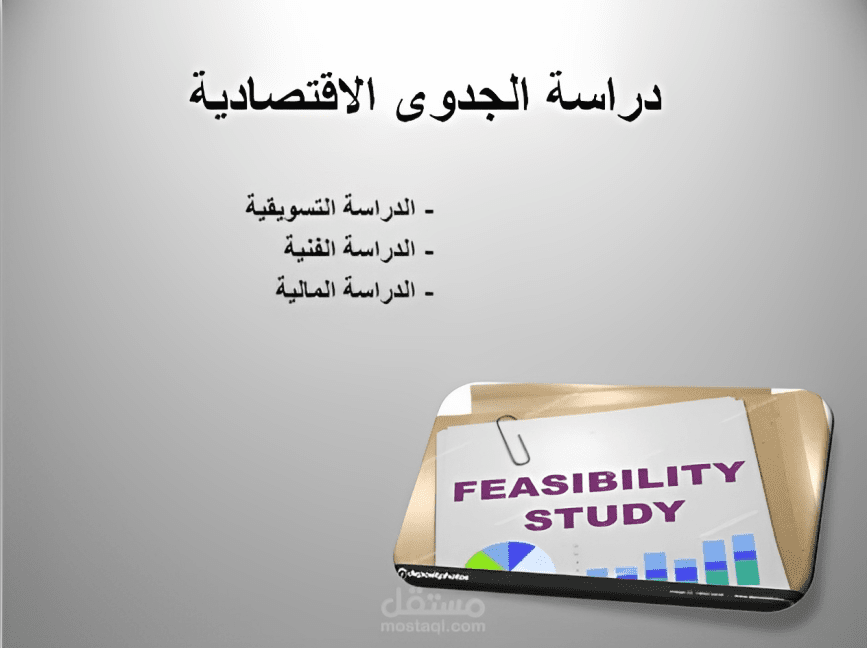 خبرة في اعداد دراسات الجدوى الاقتصادية