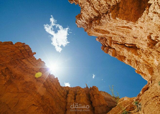 معلن ترويجي وكاتب تقارير ومحتوى