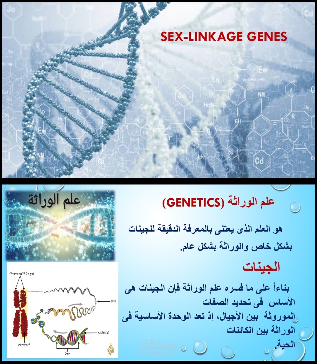 الصفات الوراثية المرتبطة بالجنس