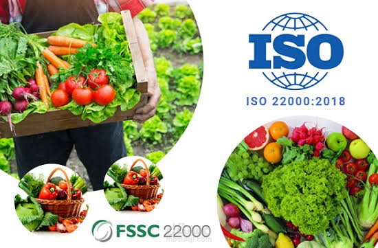 خطوات تطبيق نظام ISO 22000