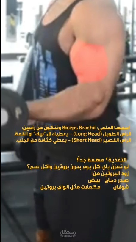ريلز  أفضل تمارين لتكبير العضلات