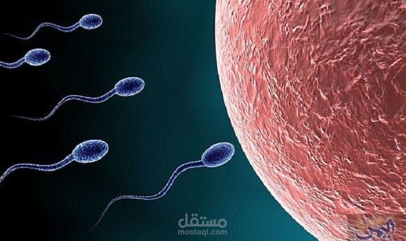وسائل منع الحمل