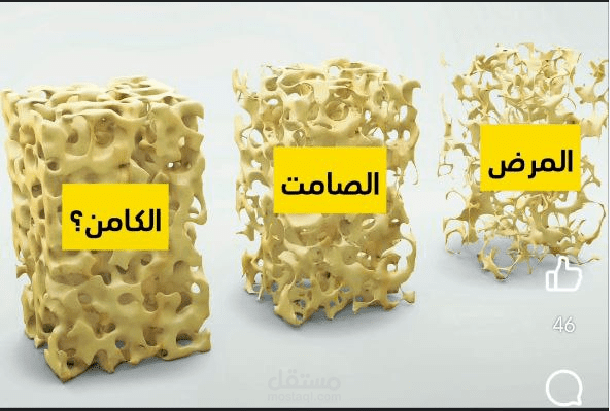 تقديم وكتابة محتوى فيديو