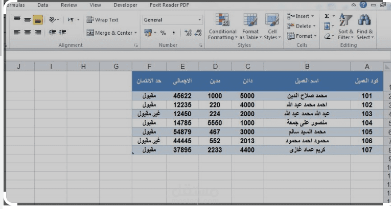 خبير بالبرامج