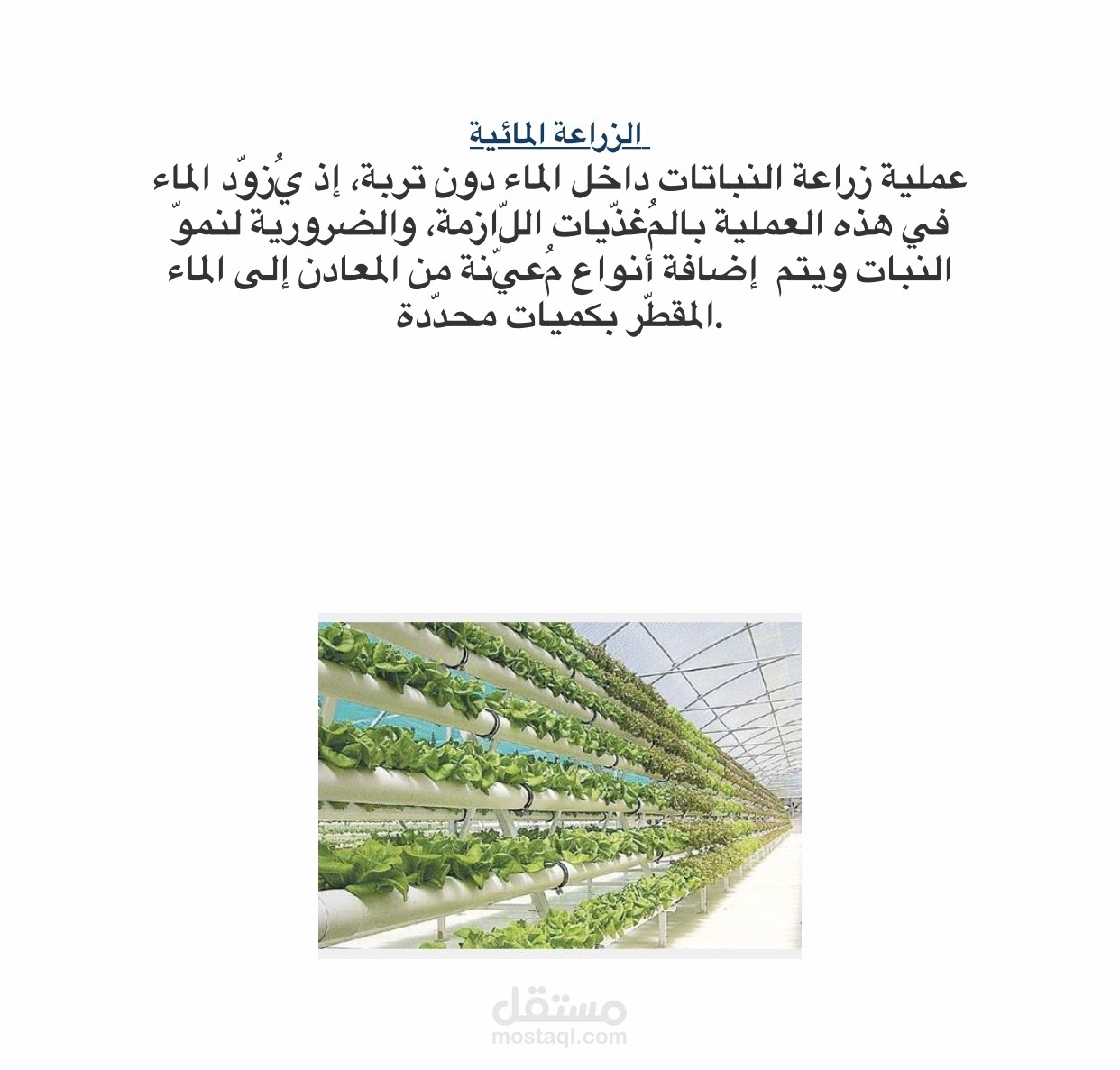 عرض تقديمي