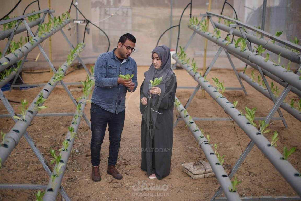 الزراعة المائية