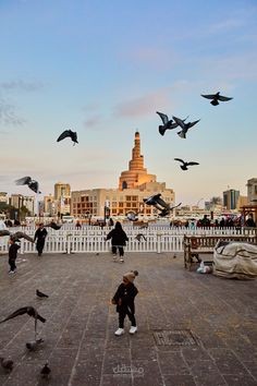 جدول سياحي في قطر