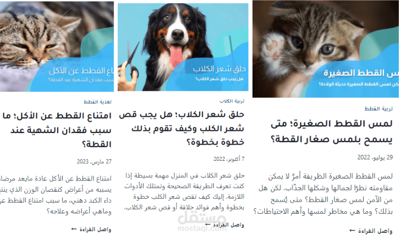 كتابة مقال عن الحيوانات متوافق مع قواعد الseo
