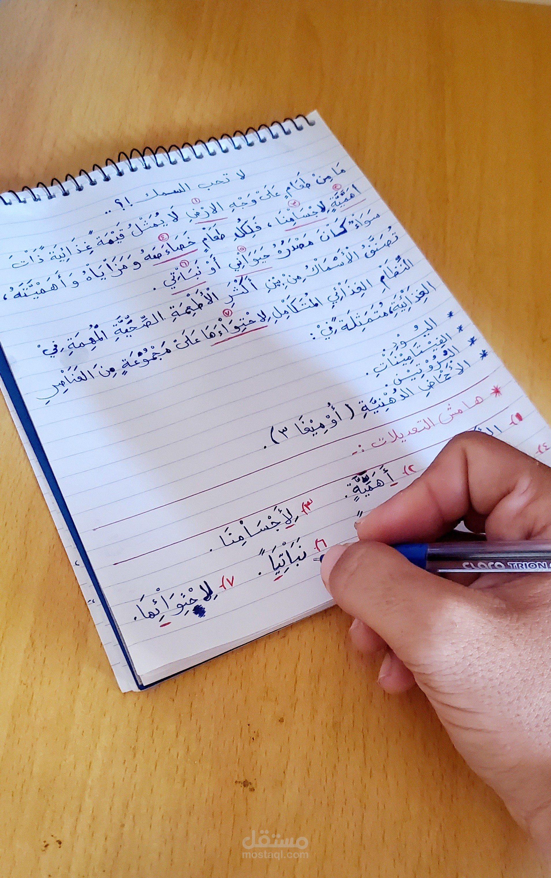 إعادة كتابة المحتوى و تدقيقه لغوياً