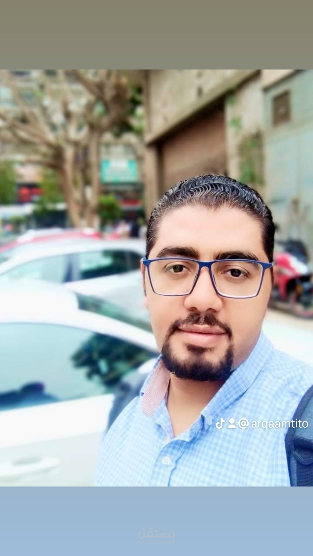ترجمة هوالندية