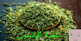 فوائد اليانسون وطرق استخدامه واضراره الصحية