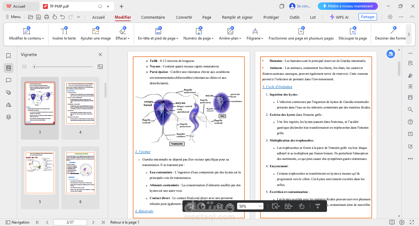 تقرير للأعمال التطبيقية – Protozoaire et Métazoaire Parasitaire