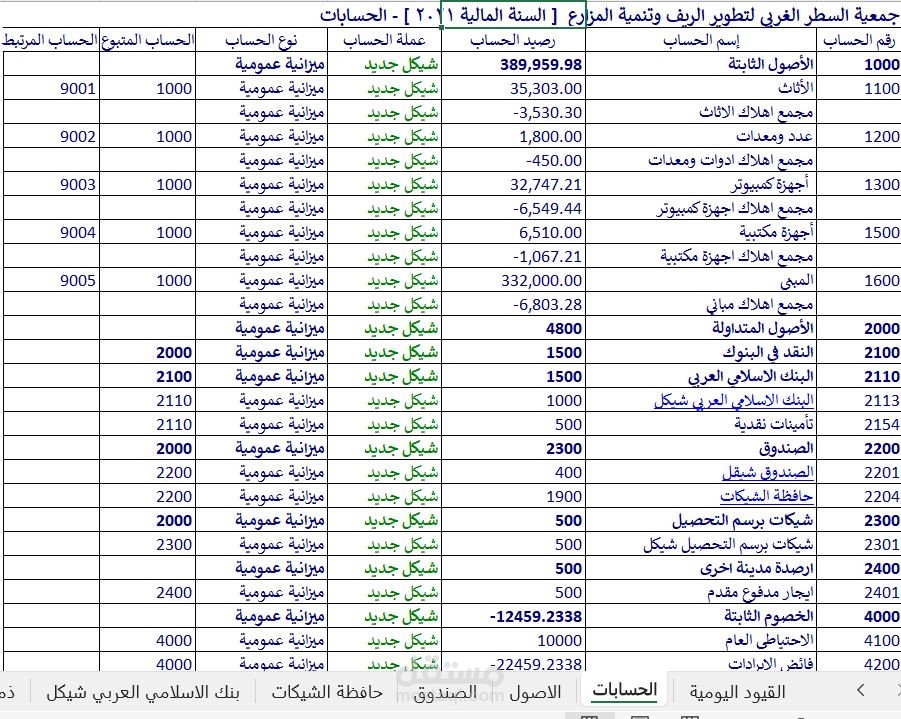 عمل برنامج محاسبي لادارة حسابات جمعية على الاكسل