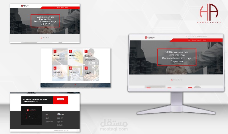 تصميم موقع Pro Link Service