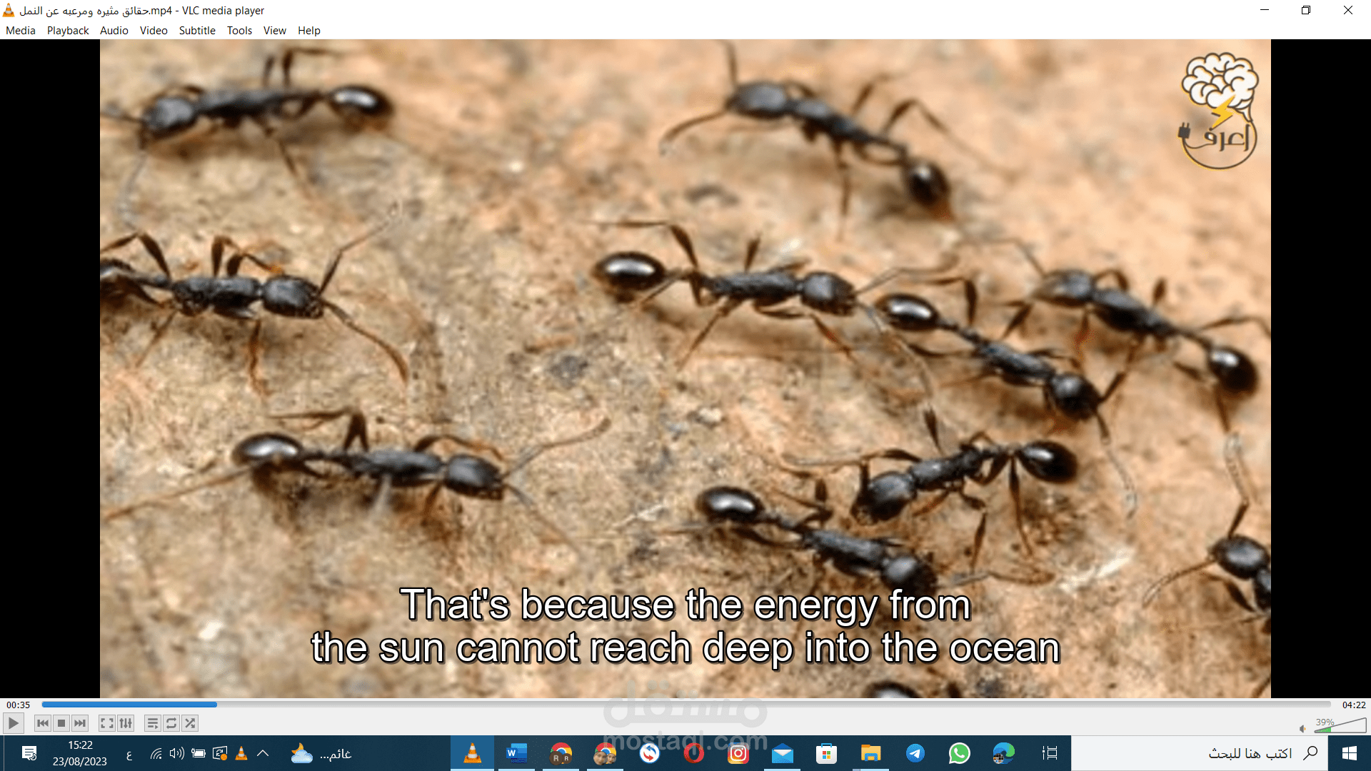 subtitle