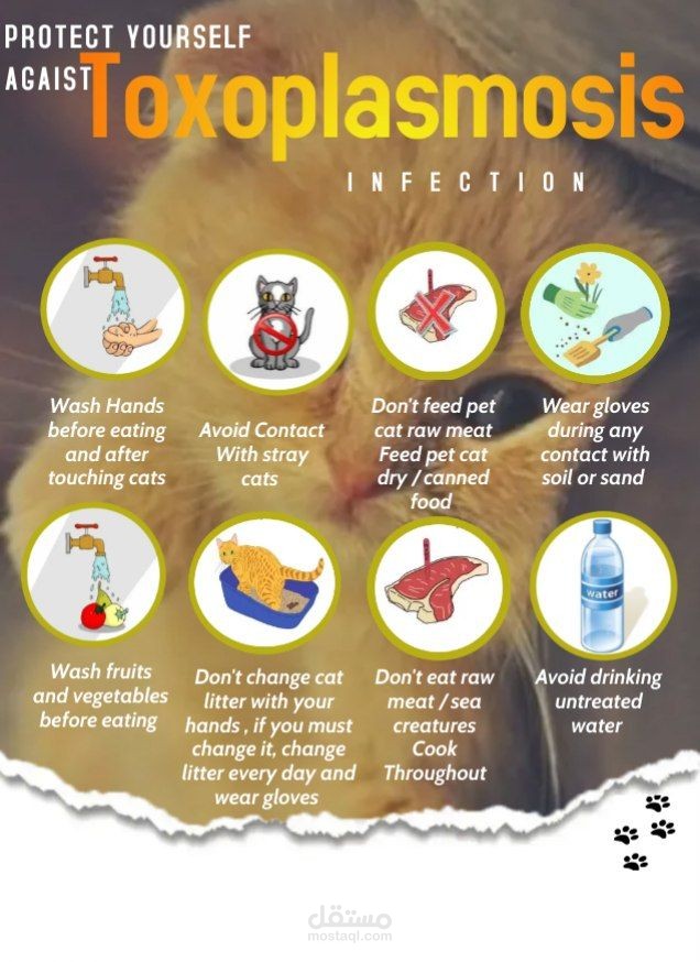 بوستر توعوّي