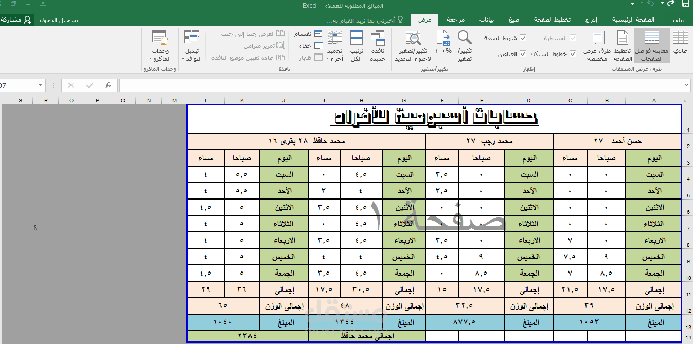 ادخال بيانات على الاكسيل وتنسيقها وعمل جميع المعادلات الحسابية