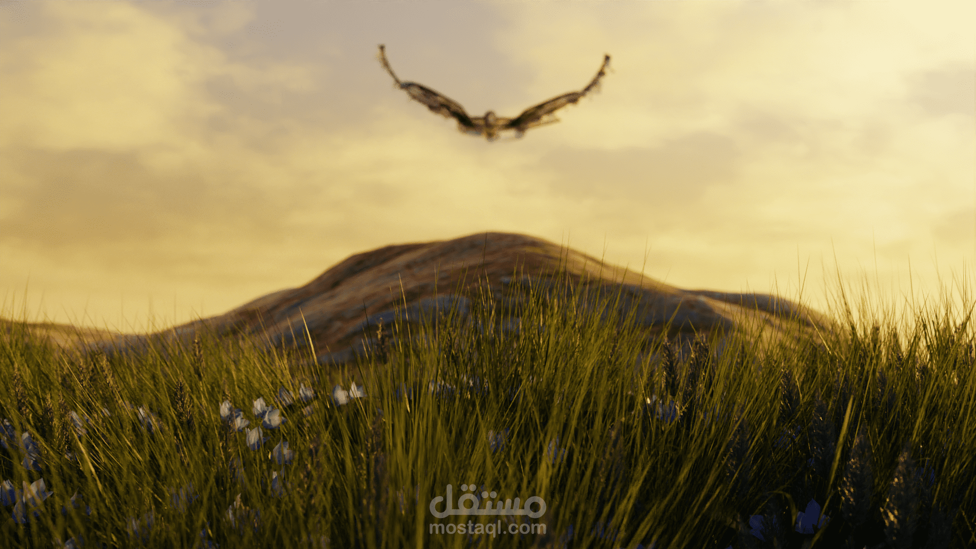 فيديو أنيميشن لتدشين خط مياه جديد