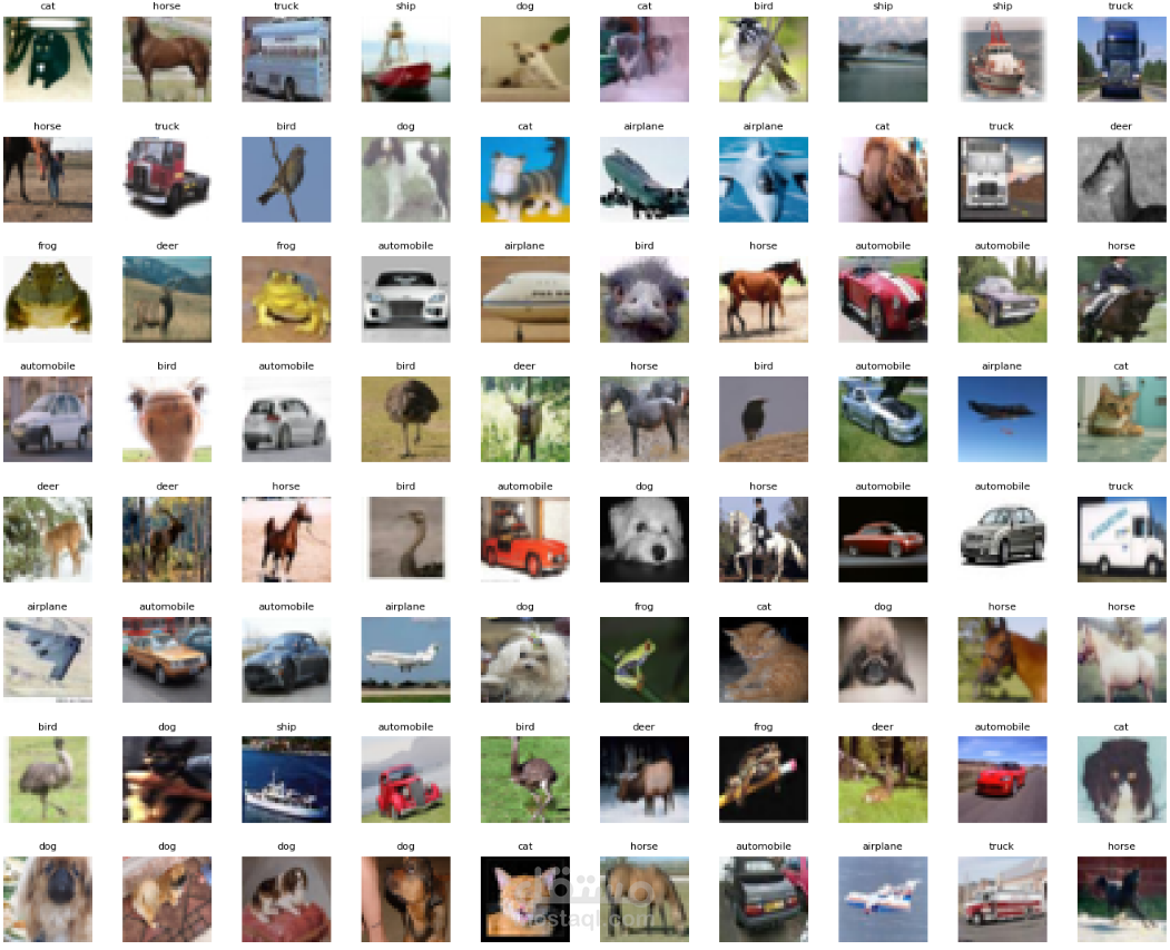 تصنيف الحيوانات باستخدام رؤية الحاسب