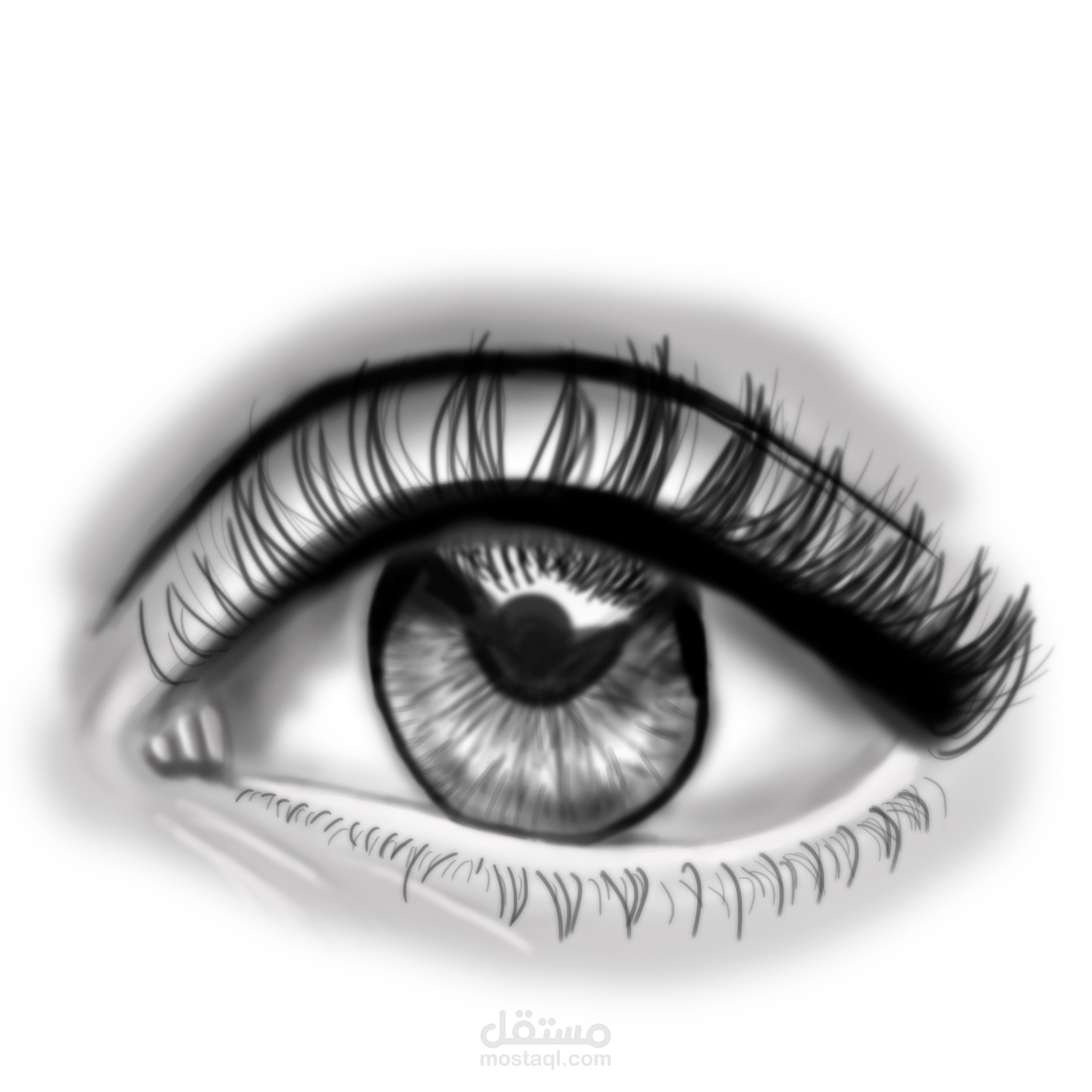 الرسم التوضيحي