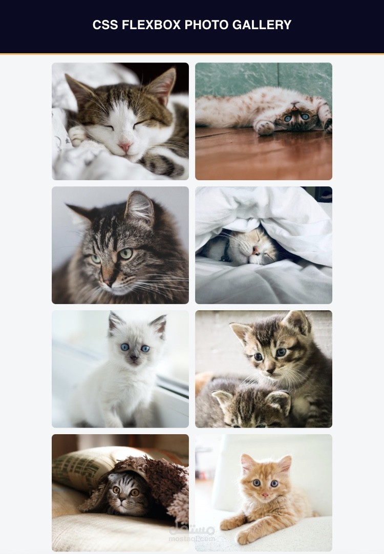 Photo Gallery