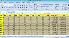 تنظيم بيانات طلاب في ملف Excel