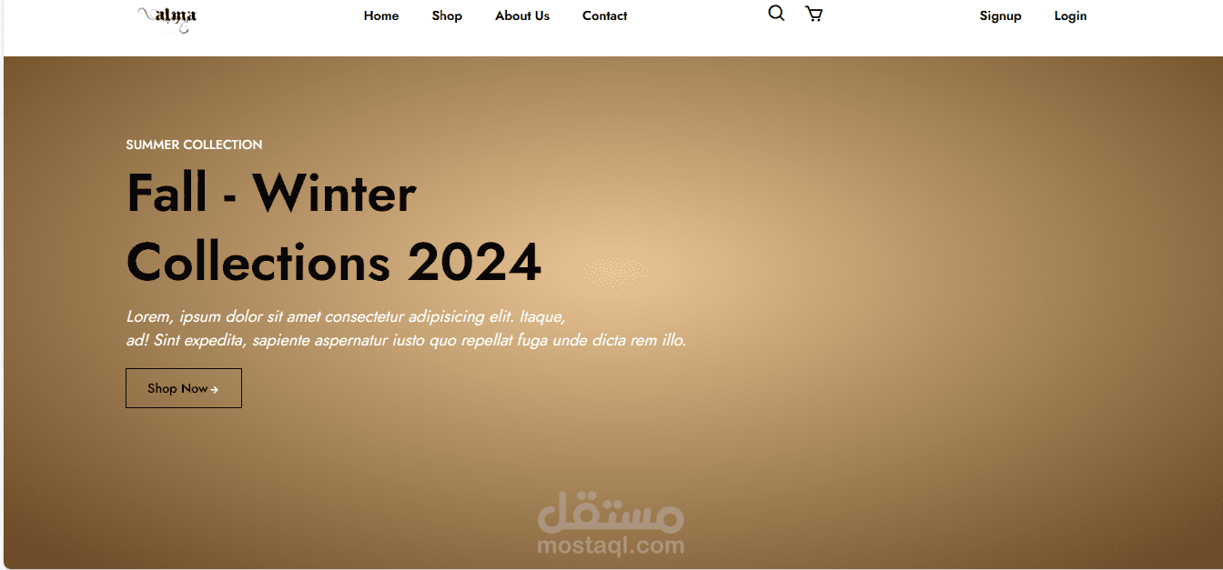 A commercial website for international fashion