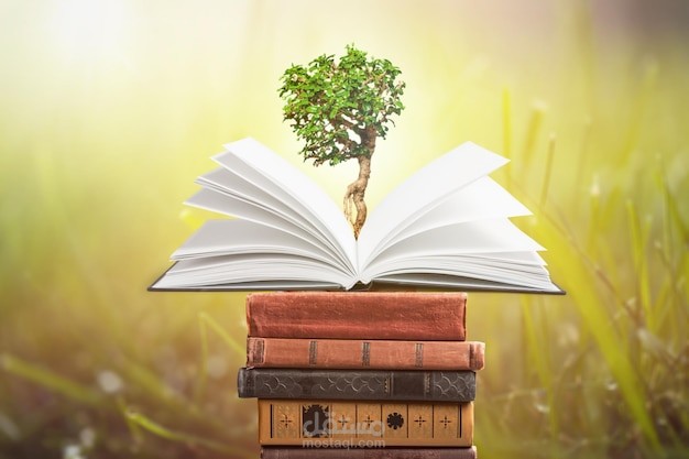 كتابة إبداعية