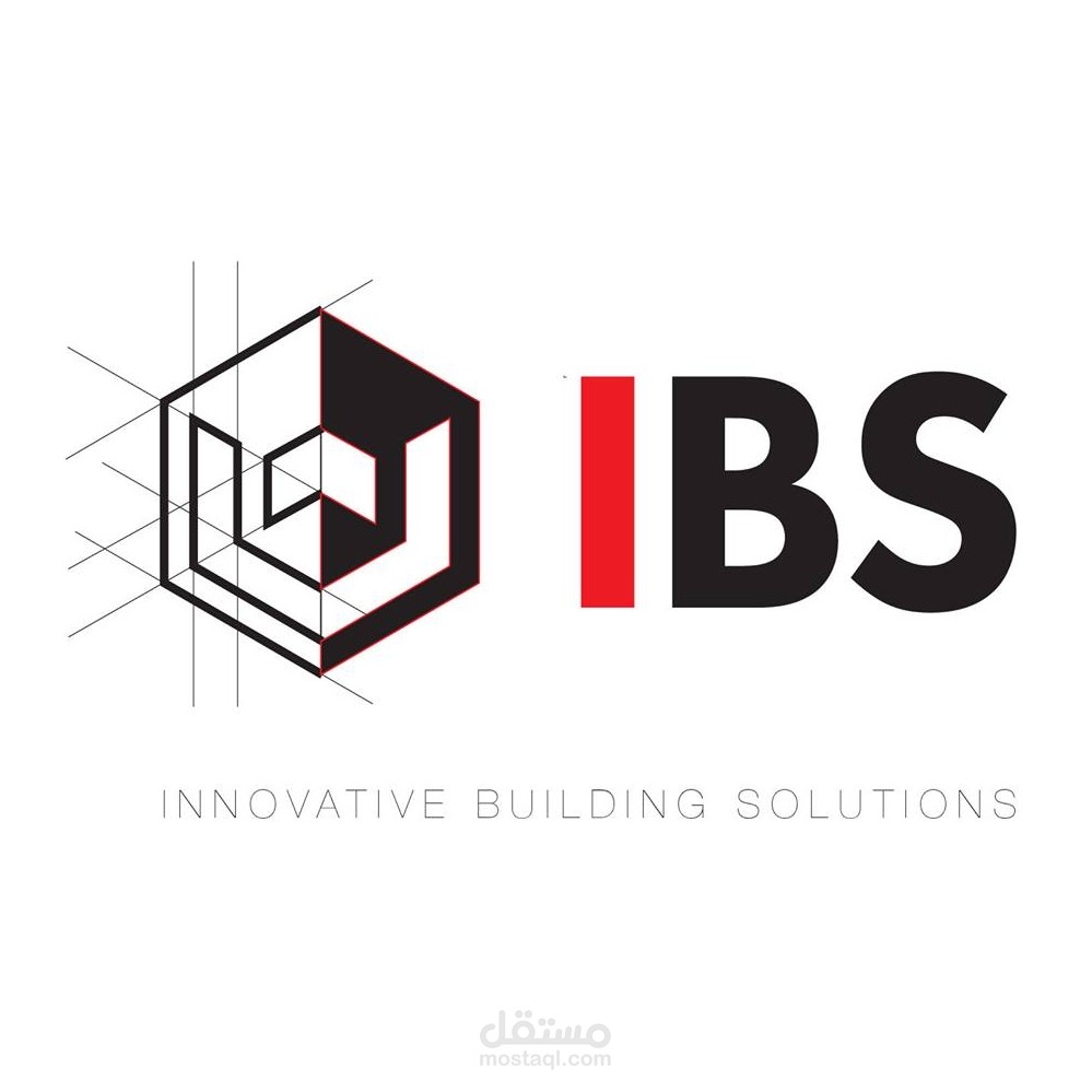 ادارة صفحات التواصل الاجتماعي (Facebook,Instagram,LinkedIn) لشركة IBS Misr
