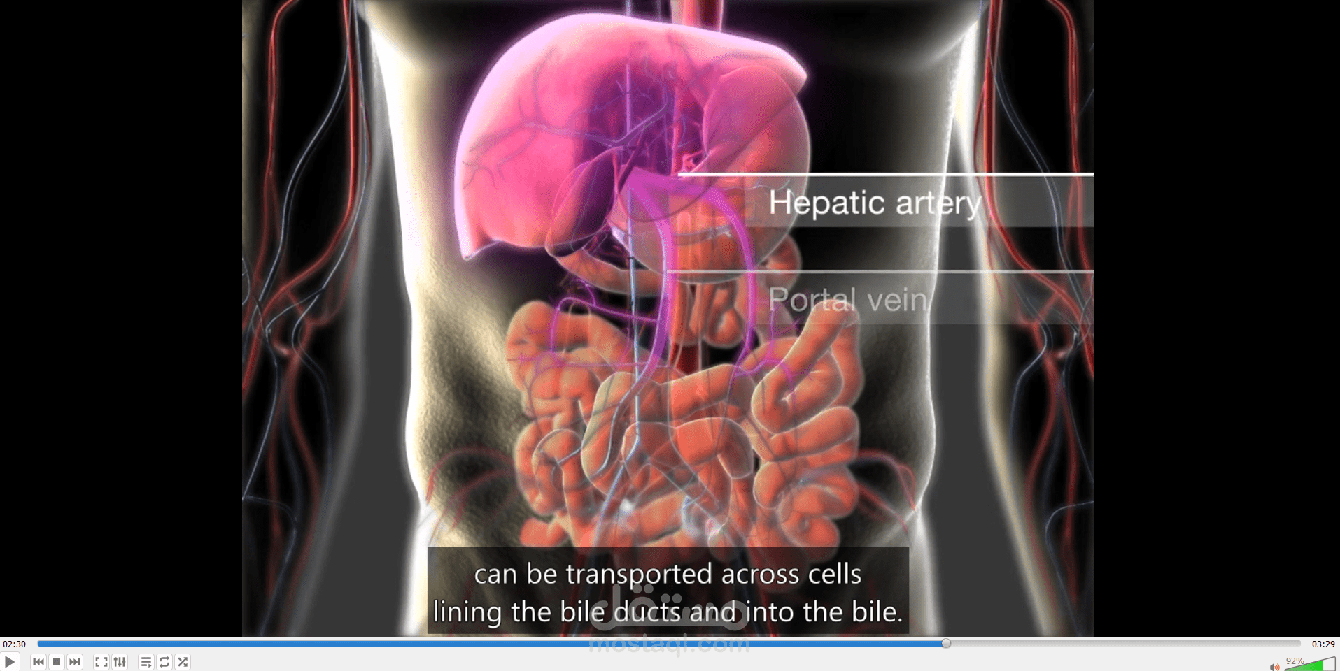 Subtitling and translating Medical video