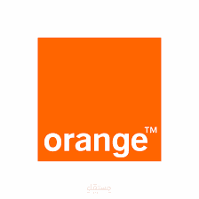 Retail sales and customer support team leader (Orange Egypt)