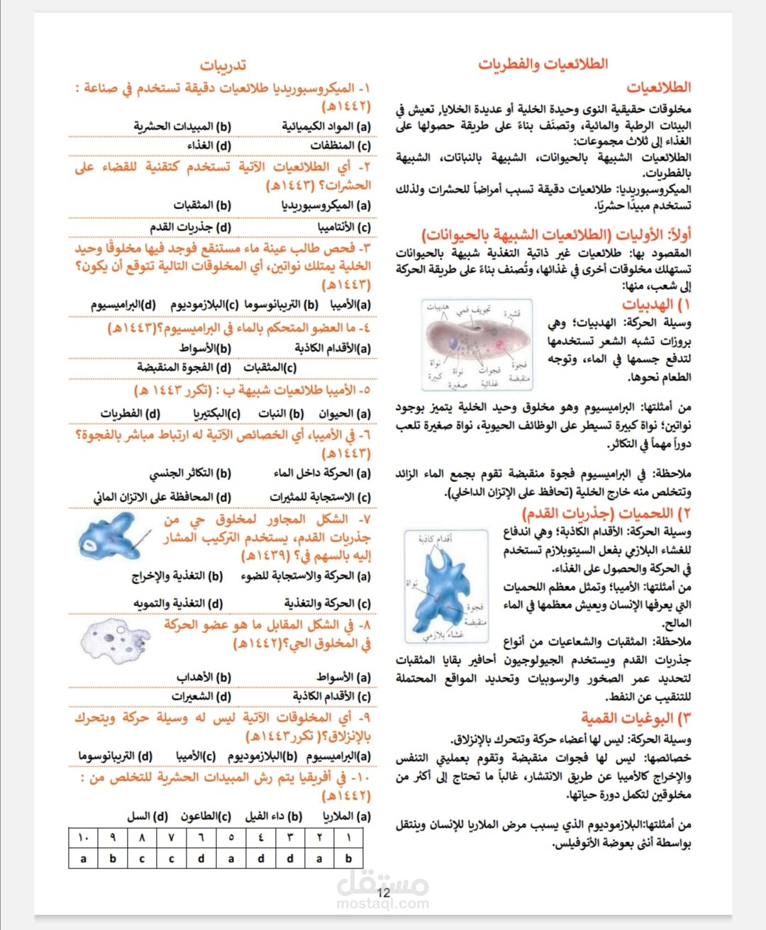 عمل ملزمة أحياء