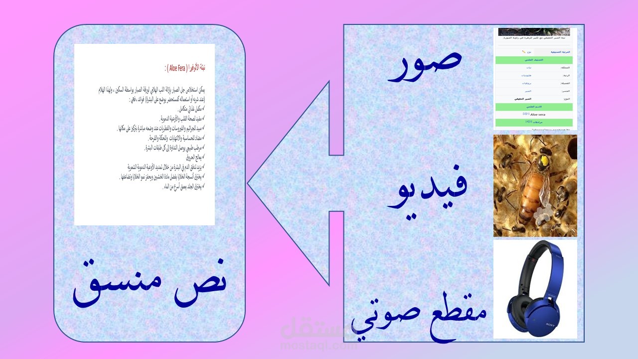 تفريغ محتوى صور أو فيديو أو مقطع صوتي إلى نص منسق