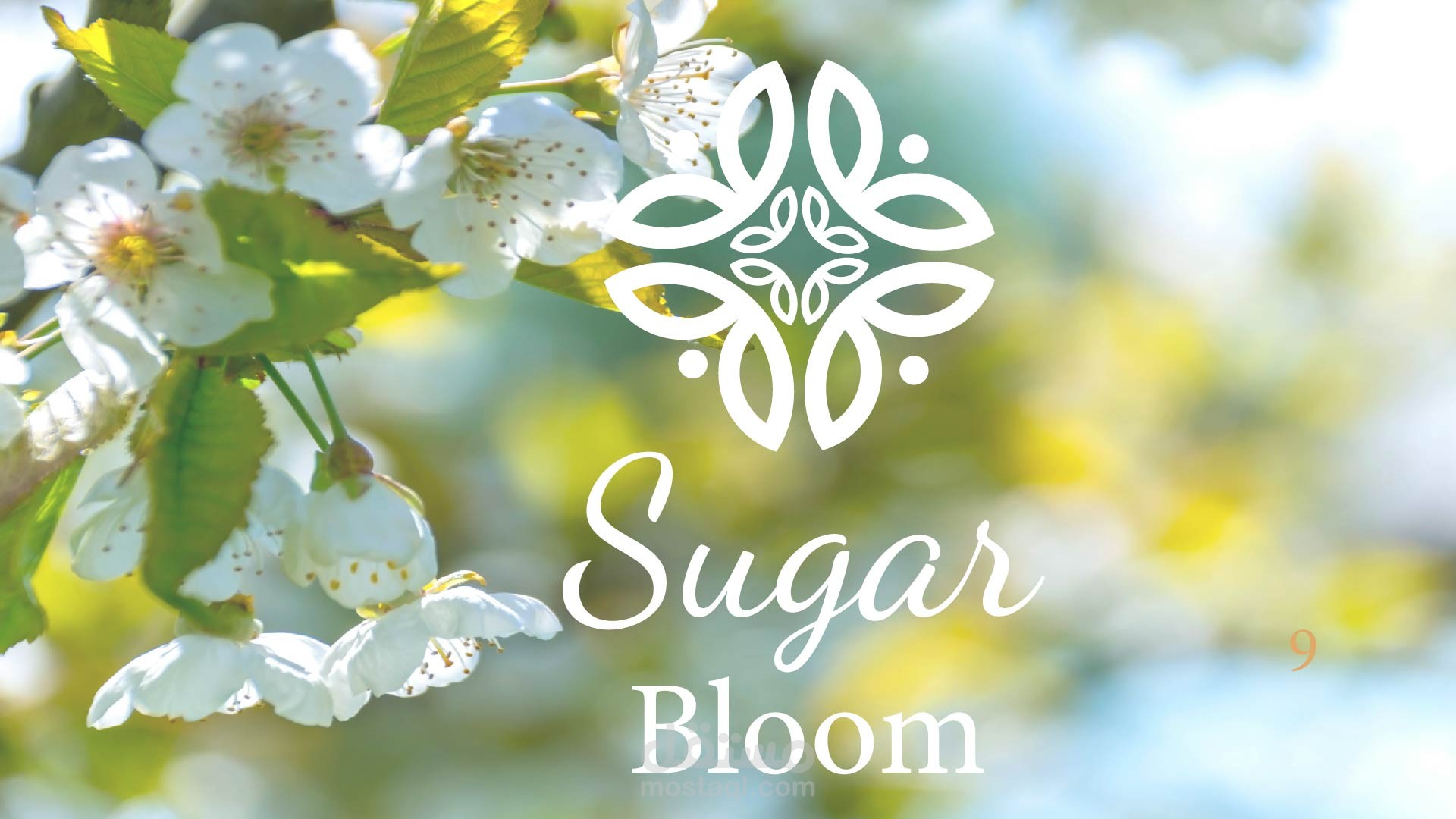 sugar Bloom لوجو لشركه زهور للزفاف
