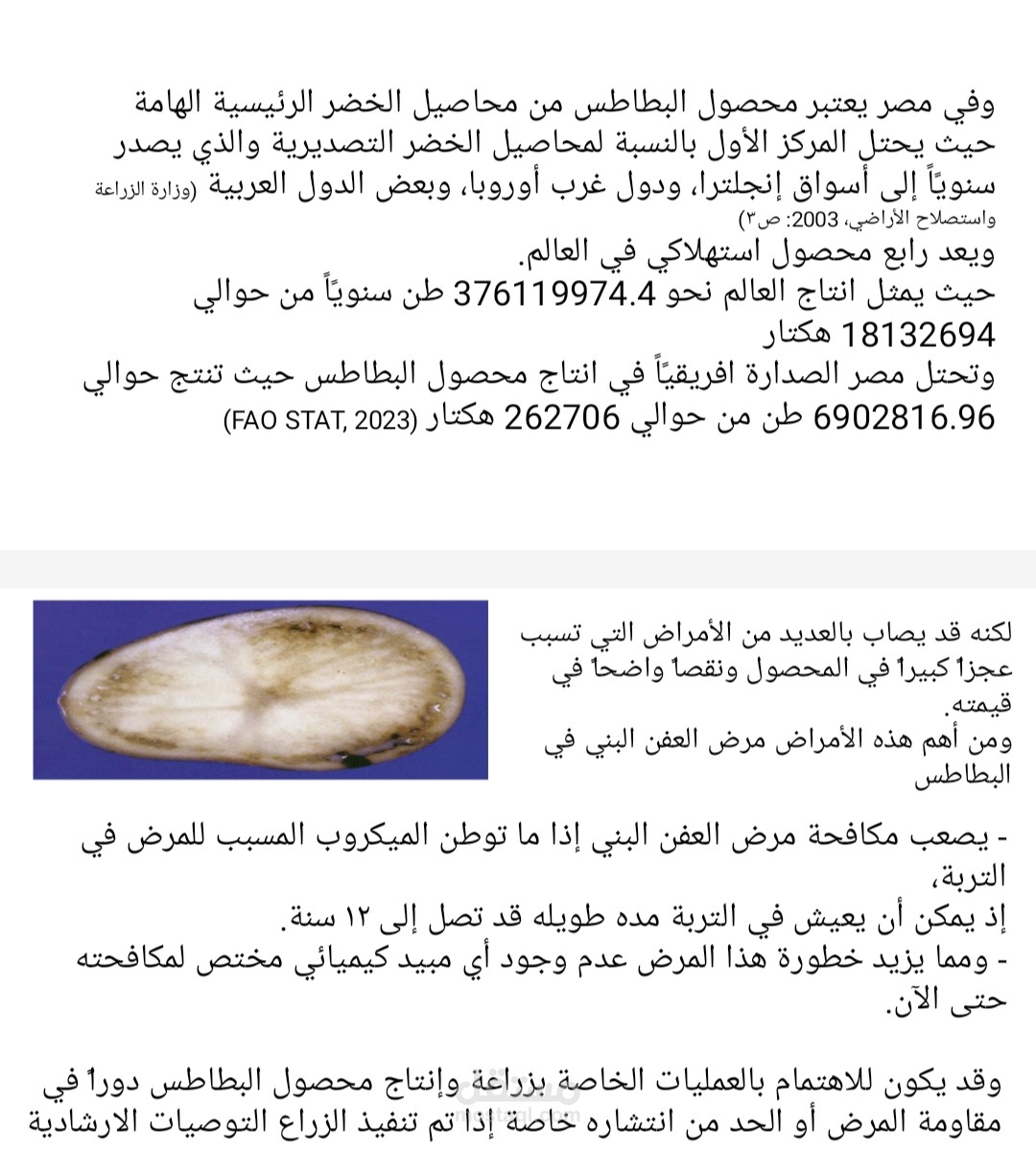 مقال عن العفن البني في البطاطس