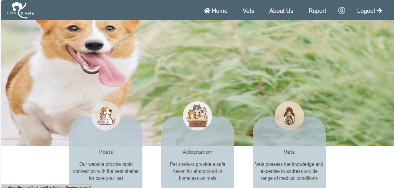 Vets & Pets