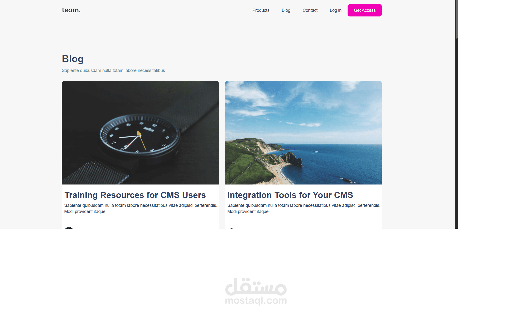 Team App (Webflow)