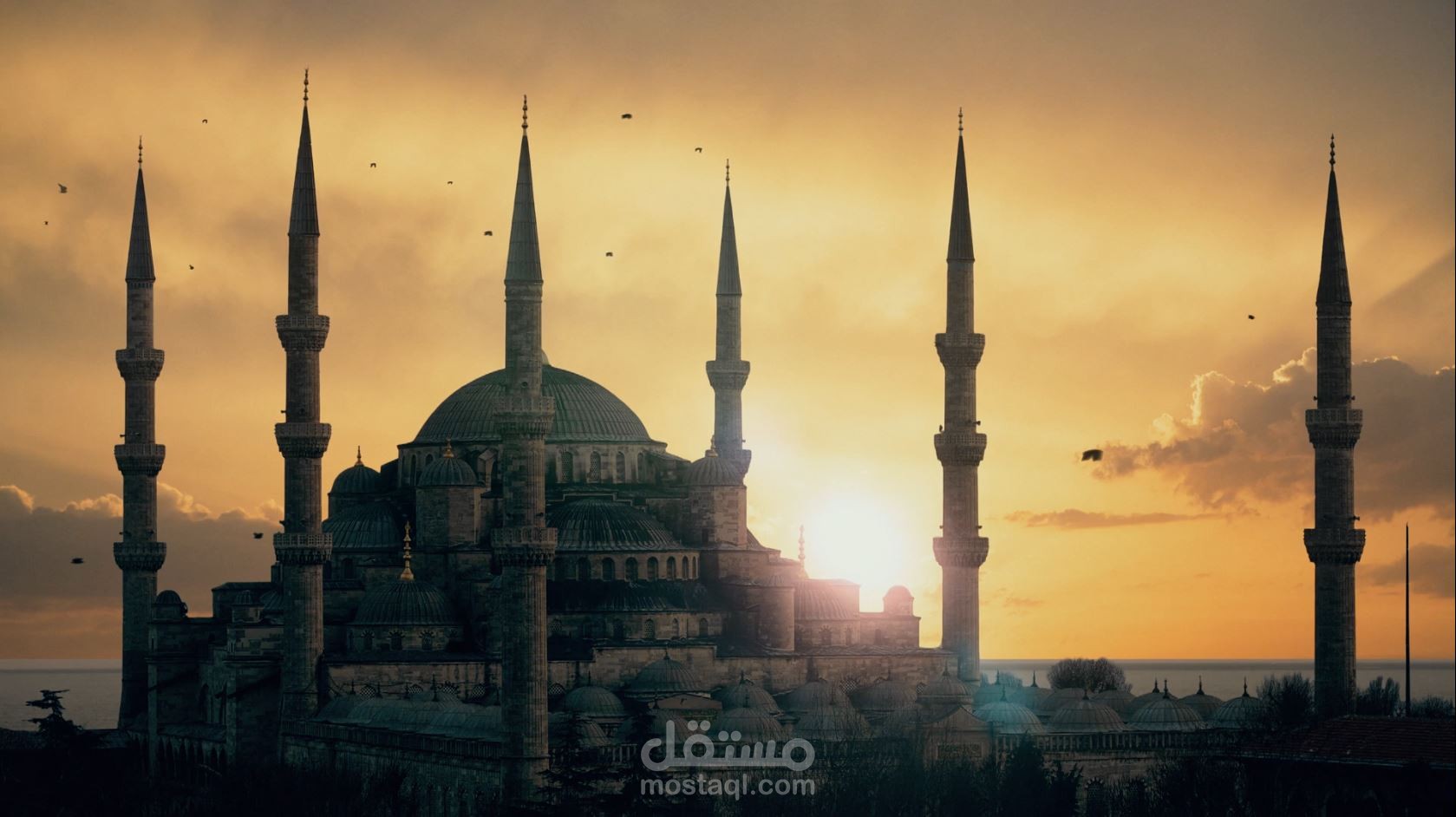 فيلم حراس الديمقراطية