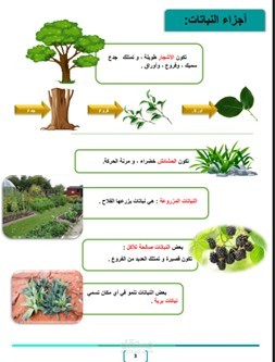 بوكليت علوم