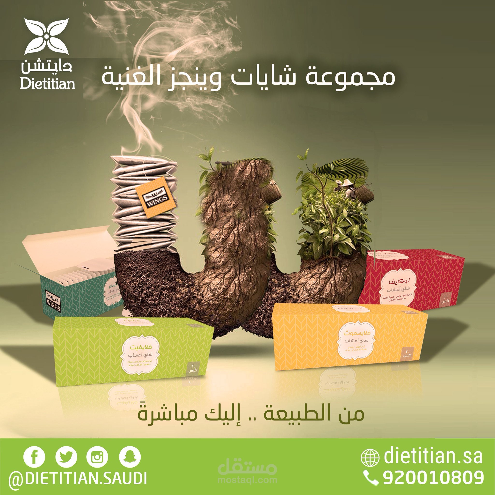 تصميم لمصانع دايتشن السعودية للأغذية الصحية ( مجموعة شايات وينجز )