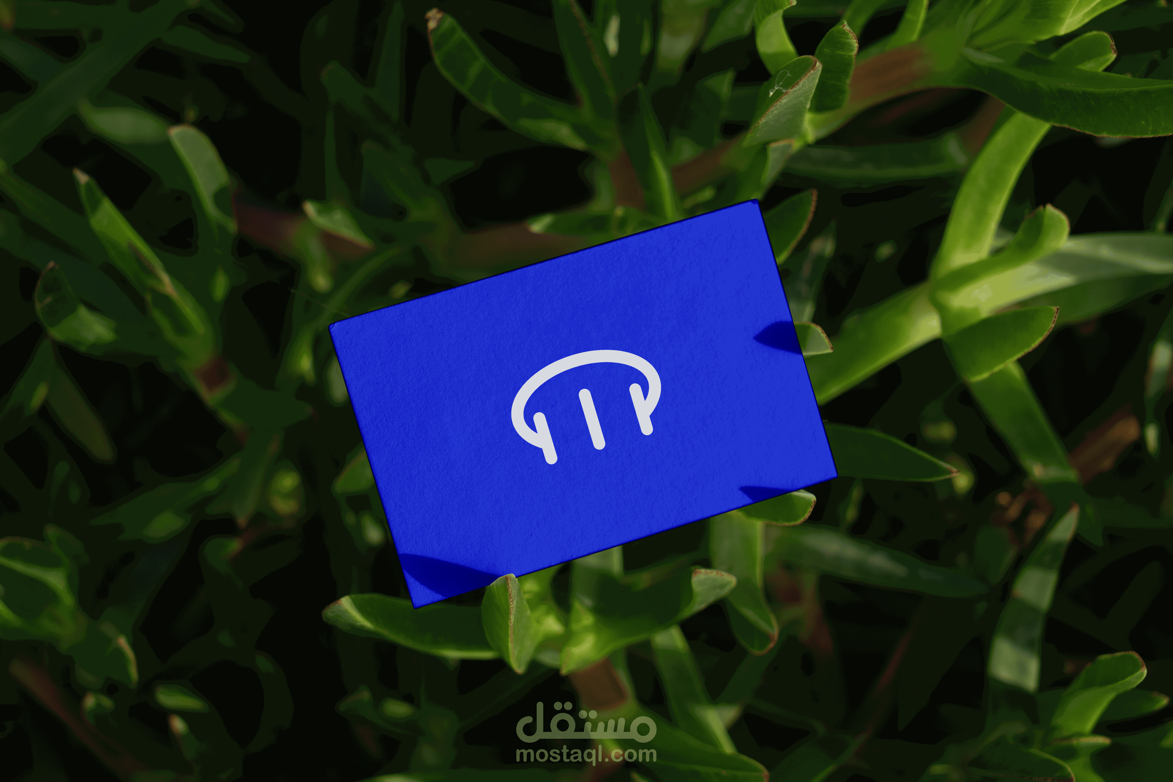 هوية بصرية لشركة روابط ( مشروع تجريبي)