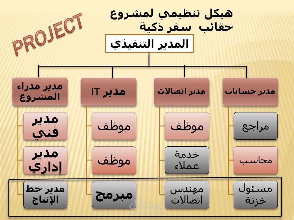 هيكل تنظيمي لمشروع حقائب سفر ذكية