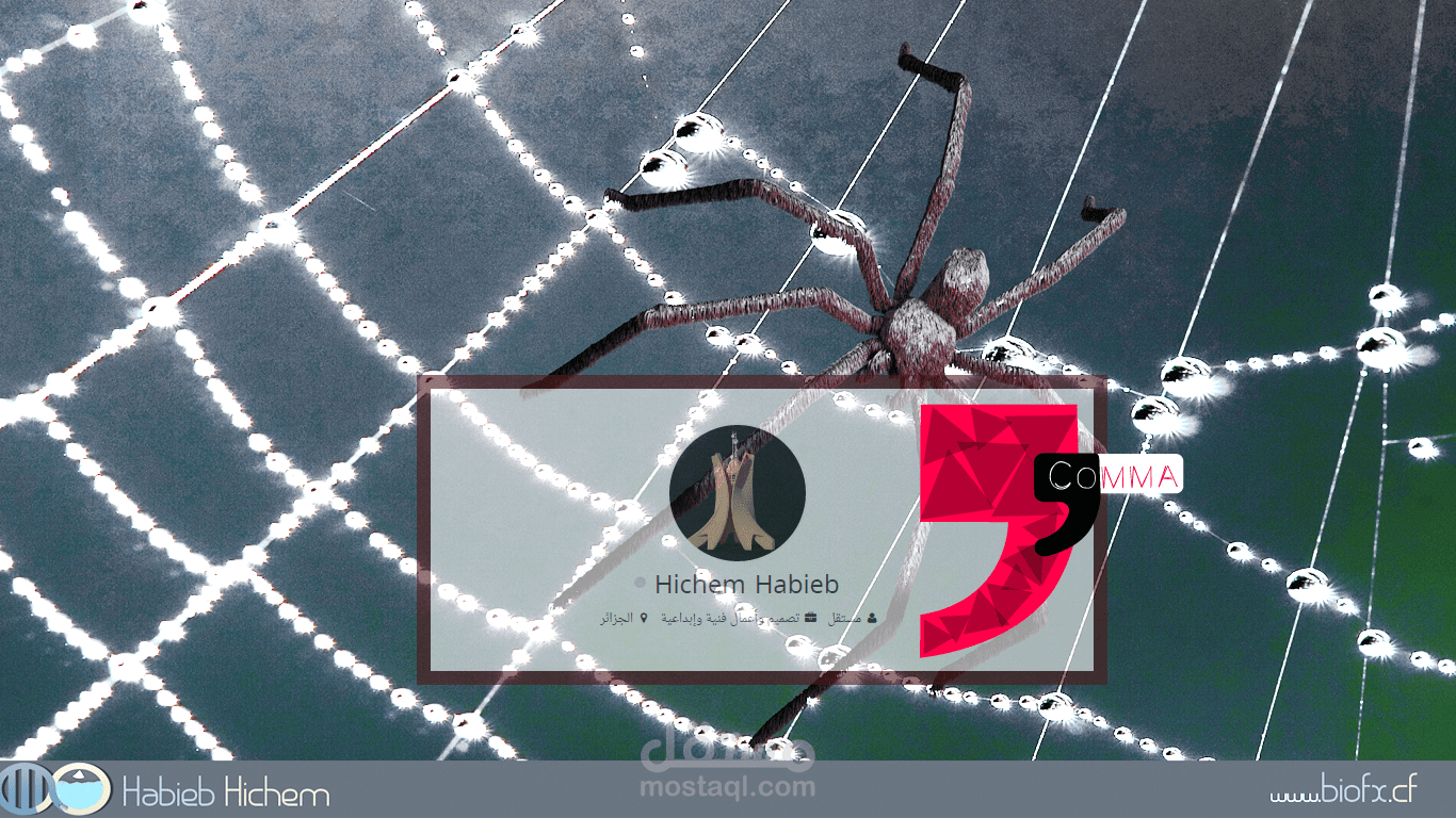 هشام حبايب مصمم / مجسد و محرك 3D