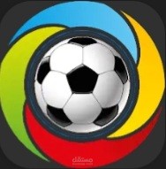 في الملعب