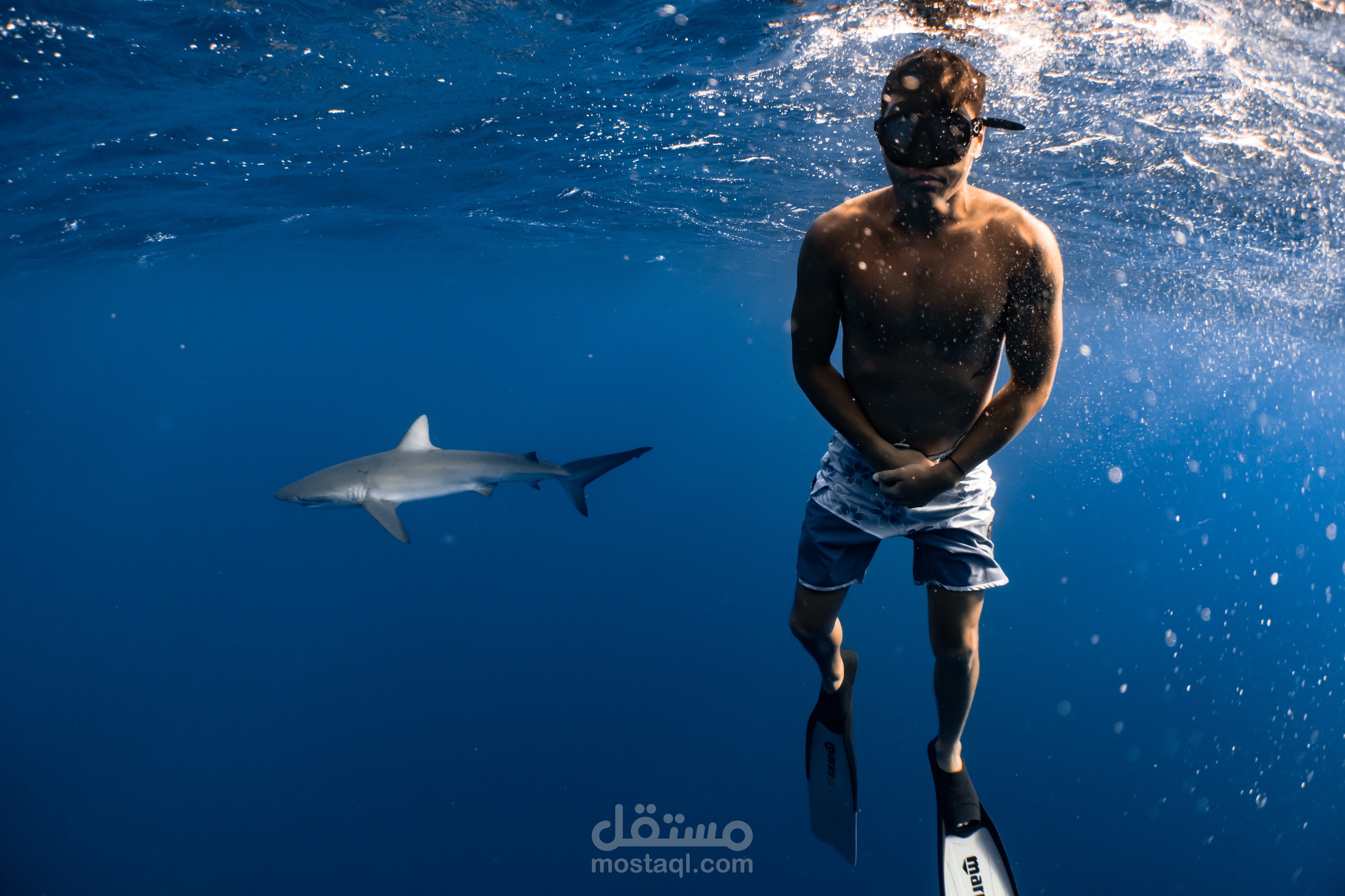 وثائقي تجريبي ناشونال جيوغرافيك