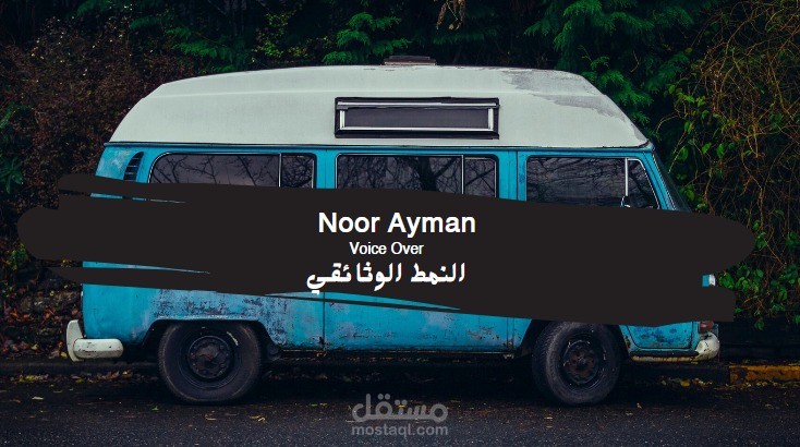 النمط الوثائقي